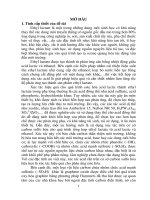 Tổng hợp, đặc trưng tính chất xúc tác acid trên cơ sở carbon từ sinh khối và graphene oxide ứng dụng cho phản ứng este hóa acid lactic tt 