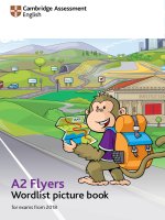 yle flyers word list picture book 2018