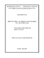 Hợp tác công – tư trong cung ứng dịch vụ y tế ở việt nam tt 