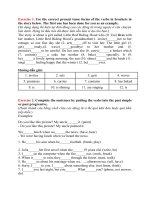 language focus unit 2 lớp 11