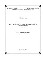 Hợp tác công – tư trong cung ứng dịch vụ y tế ở Việt Nam (Luận án tiến sĩ)