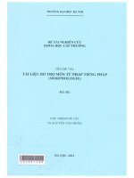 tài liệu bổ trợ môn tư pháp tiếng pháp (Morphologie)