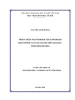 Nhân thân người phạm tội xâm phạm nhân phẩm của con người trên địa bàn tỉnh bình dương 