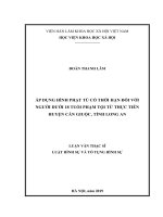 Áp dụng hình phạt tù có thời hạn đối với người dưới 18 tuổi phạm tội từ thực tiễn huyện Cần Giuộc, tỉnh Long An