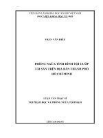 Phòng ngừa tình hình tội cướp tài sản trên địa bàn thành phố hồ chí minh 