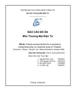 nghiên cứu những yếu tố tạo nên thành công quan trọng trong kinh doanh thương mại điện tử ở thái lan 