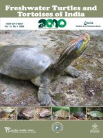 Freshwater Turtles and Tortoises of India