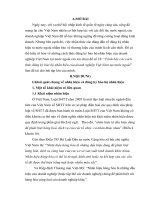 Trình bày các cách thức đăng ký bảo hộ nhãn hiệu của doanh nghiệp Việt Nam tại nước ngoài