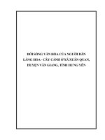 ĐỜI SỐNG VĂN HÓA CỦA NGƯỜI DÂN  LÀNG HOA  CÂY CẢNH Ở XÃ XUÂN QUAN,  HUYỆN VĂN GIANG, TỈNH HƯNG YÊN