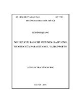 Nghiên cứu bào chế viên nén giải phóng nhanh chứa paracetamol và ibuprofen 