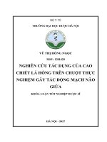 Nghiên cứu tác dụng của cao chiết lá hồng trên chuột thực nghiệm gây tắc động mạch não giữa 
