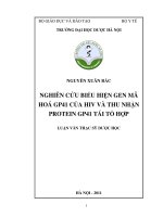 Nghiên cứu biểu hiện gen mã hóa GP41 của HIV và thu nhận protein GP41 tái tổ hợp 