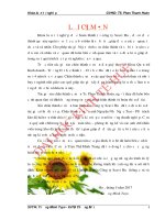 Hoàn thiện quy trình quản lý tồn kho và ứng dụng lean trong đánh giá hiệu quả quản lý tồn kho tại công ty scavi huế 