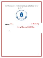 Các yếu tố ảnh hưởng đến quyết định đi siêu thị co op mart của khách hàng 