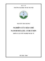 Nghiên cứu bào chế nanoemulgel curcumin 