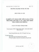 Nghiên cứu bào chế viên nang cứng meloxicam chứa các viên nén mini thay đổi giải phóng 