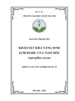 Khảo sát khả năng sinh acid kojic của nấm mốc aspergillus oryzae 