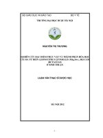 Nghiên cứu đặc điểm thực vật và thành phần hóa học cây đa tử biển ( limnocitrus littoralis (miq ) sw ) , họ cam ( rutaceae) ở ninh thuận  