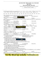 Đề thi thử THPT quốc gia năm 2019 môn hóa học   đề số 18 