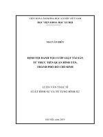 Định tội danh tội cướp giật tài sản theo pháp luật hình sự Việt Nam từ thực tiễn quận Bình Tân, Tp. Hồ Chí Minh (Luận văn thạc sĩ)