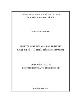 Định tội danh tội mua bán trái phép chất ma túy từ thực tiễn tỉnh đồng nai 