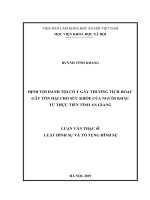 Định tội danh Tội cố ý gây thương tích hoặc gây tổn hại cho sức khỏe của người khác từ thực tiễn tỉnh An Giang (Luận văn thạc sĩ)