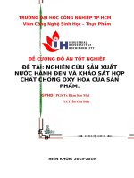 NGHIÊN cứu sản XUẤT nước HÀNH ĐEN và KHẢO sát hợp CHẤT CHỐNG OXY hóa của sản PHẨM 