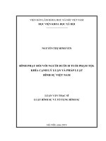 Hình phạt đối với người dưới 18 tuổi phạm tội: Khía cạnh lý luận và pháp luật hình sự Việt Nam (Luận văn thạc sĩ)