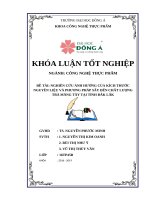 NGHIÊN cứu ẢNH HƯỞNG của KÍCH THƯỚC NGUYÊN LIỆU và PHƯƠNG PHÁP sấy đến CHẤT LƯỢNG TRÀ MĂNG tây tại TỈNH đắk lắk