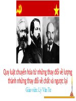 quy luật từ những thay đổi về lượng dẫn đến những thay đổi về chất và ngược lại (quy luật lượng chất)