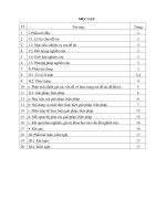 Sáng kiến kinh nghiệm: Kinh nghiệm vận dụng trò chơi học tập môn Địa lí lớp 4