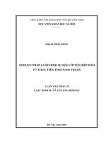 Áp dụng pháp luật hình sự đối với tội hiếp dâm từ thực tiễn tỉnh ninh thuận 
