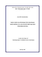 Nhân thân người phạm tội xâm phạm nhân phẩm của con người trên địa bàn tỉnh bình dương 