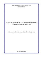 Tiểu luận Tác phẩm báo chí (Loại hình báo chí hiện đại, Xu hướng xây dựng kênh truyền hình chuyên biệt)