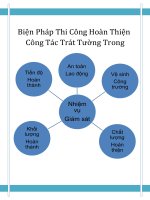 010  tai lieu BPTC  cong tac trat tuong trong