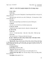 T17. Số vô tỉ. Khái niệm căn bậc hai  (PTNL)