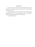 THỰC TRẠNG TỔ CHỨC VÀ HOẠT ĐỘNG CỦA PHÒNG TỔ CHỨC HÀNH CHÍNH CÔNG TY CPTB VMT VIỆT NAM