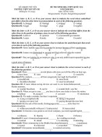 Đề thi thử THPT QG môn tiếng anh năm 2019   THPT nguyễn du 