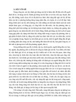 Bài thu hoạch lớp LLCTCông tác đánh giá và sử dụng đội ngũ cán bộ phòng lao động thương binh và xã hội huyện ngọc lặc