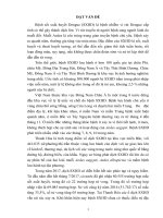 Giải pháp nâng cao hiệu quả công tác phòng chống dịch sốt xuất huyết dengue tại thanh hóa