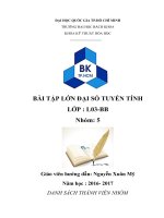 BÀI TẬP LỚN ĐẠI SỐ TUYẾN TÍNH