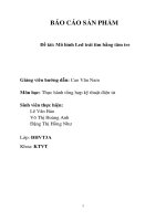 báo cáo môn điện tử số bài tập lớn