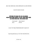 Luận văn Thạc sĩ Kinh doanh và quản lý: Mở rộng tín dụng của các chi nhánh NHNoPTNT tại huyện Điện Bàn, tỉnh Quảng Nam