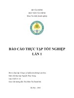 Báo cáo thực tập tốt nghiệp lần 1