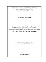 Áp dụng các biện pháp ngăn chặn theo pháp luật tố tụng hình sự Việt Nam từ thực tiễn thành phố Đà Nẵng