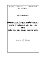 Đánh giá kết quả phẫu thuật mở bể thận có nội soi hỗ trợ điều trị sỏi thận nhiều viên 