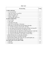 Sáng kiến kinh nghiệm: Biện pháp huy động xã hội hóa giáo dục ở trường Tiểu học