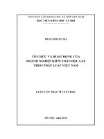Luận văn tổ chức và hoạt động của doanh nghiệp kiểm toán độc lập theo pháp luật việt nam 