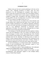 Đánh giá kết quả phẫu thuật mở bể thận có nội soi hỗ trợ điều trị sỏi thận nhiều viên tt tiếng anh 