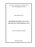 Luận văn thạc sĩ luật học tình hình tội trộm cắp tài sản trên địa bàn thành phố đà nẵng 